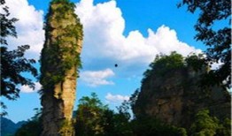 张家界爆料视频最新一期,揭秘神秘景点背后的故事